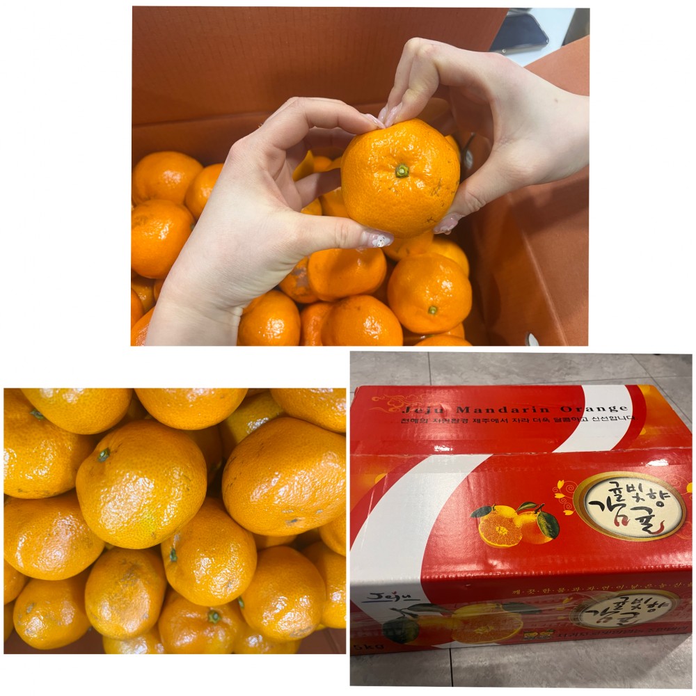 aed6cbe597416ebaf2b28c132d3d0101_1769479