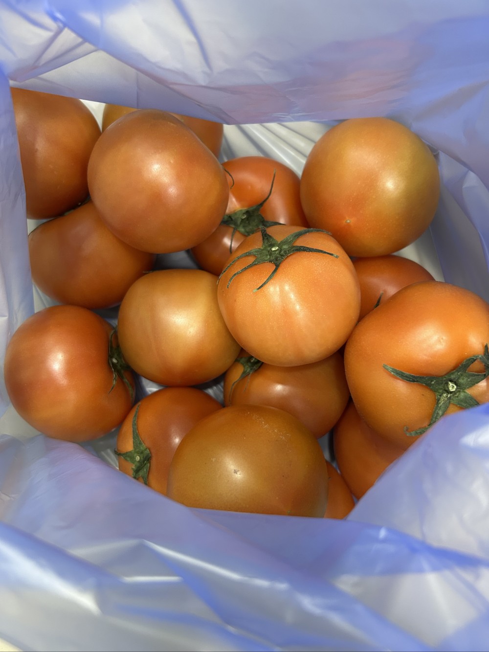 ce75d9ad6f45673c2363ed4675f15f27_1767602