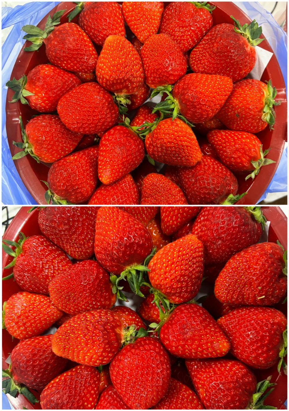 116bf2abe490a9d120a48cf5b9211ce0_1771915