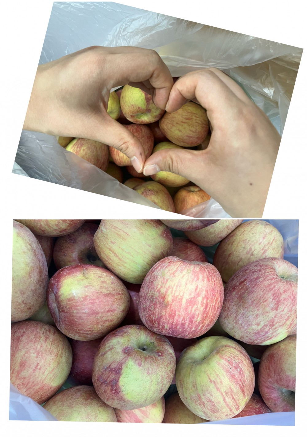 7e33f1220fb12f39acdb55fd08be12ef_1773380